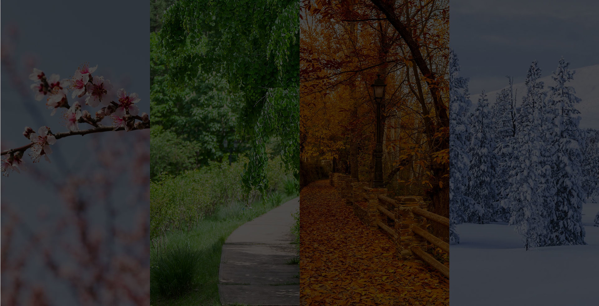 mobile background