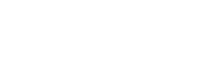 BSF금악