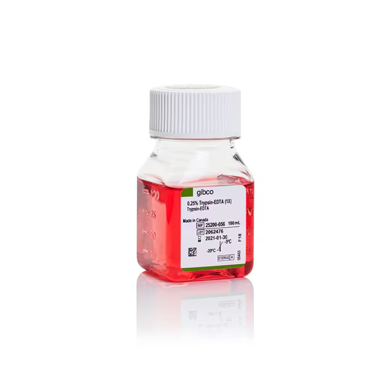 Trypsin-EDTA(0.25%), phenol red 100ml*20 : Saintone(주)