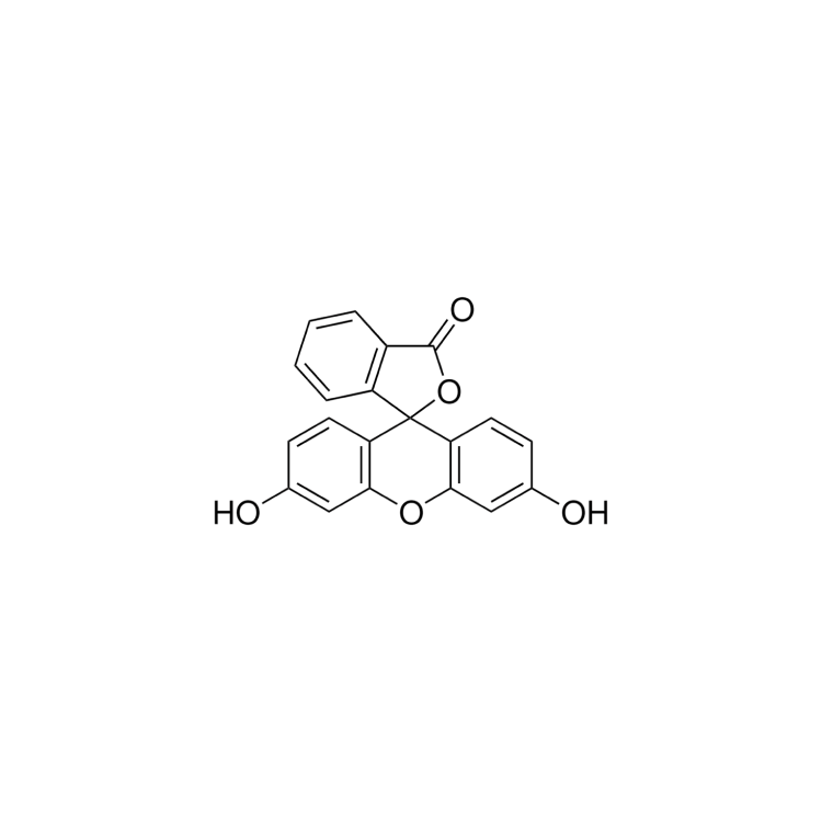 [2321-07-5] Fluorescein 1G : Saintone(주)