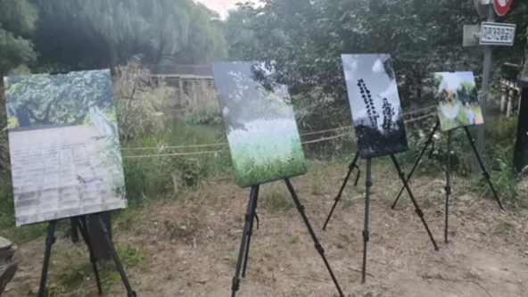 시민 사진전