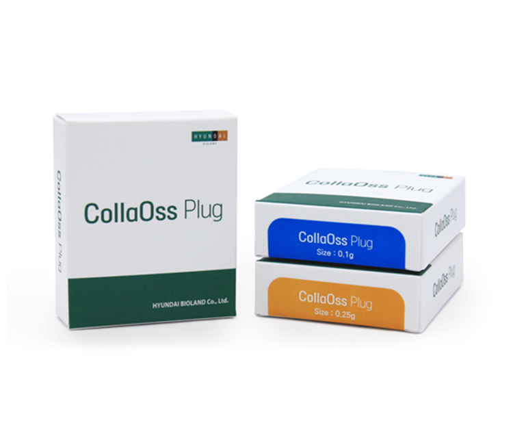 서울수려한치과 현대바이오랜드 Colla OSS Plug 이종골