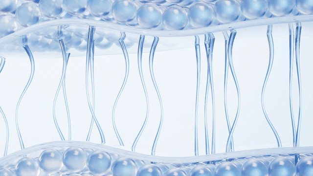 피부상태를 표현한 이미지