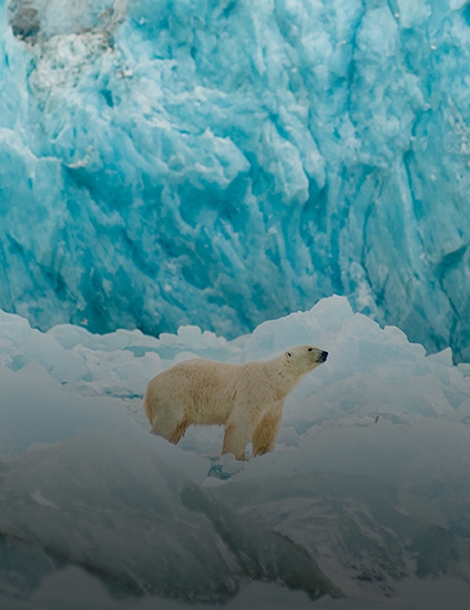 <div class="core_en">Pure Freshness from the Arctic</div> <div class="core_title">북극의 맑고 깨끗함을 담다</div>