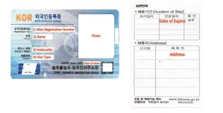 What to Do If You Lose Your ARC Card in Korea: A Step-by-Step Guide : K ...