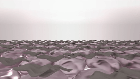 피부층에 붙어 있는 검은 색소들이 사라지고 있는 모습입니다.