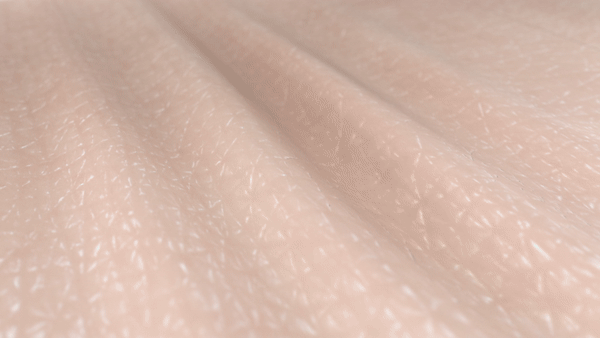 쭈글쭈글한 피부층이 팽팽해지는 모습을 표현한 이미지입니다.