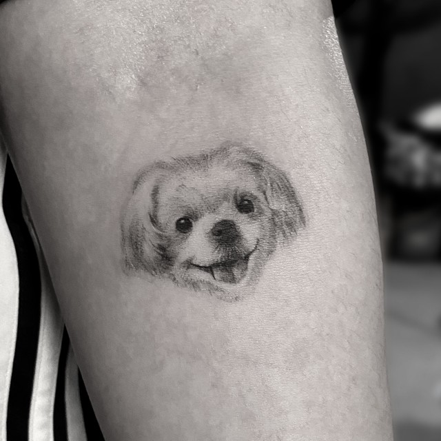 pet tattoo