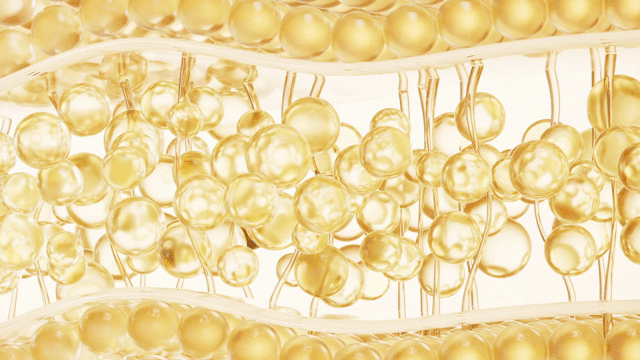 표피층, 진피층을 간접적으로 표현한 이미지입니다.