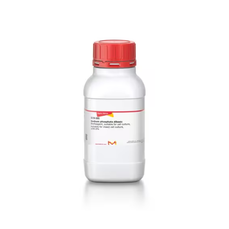 Sodium phosphate dibasic : Saintone(주)