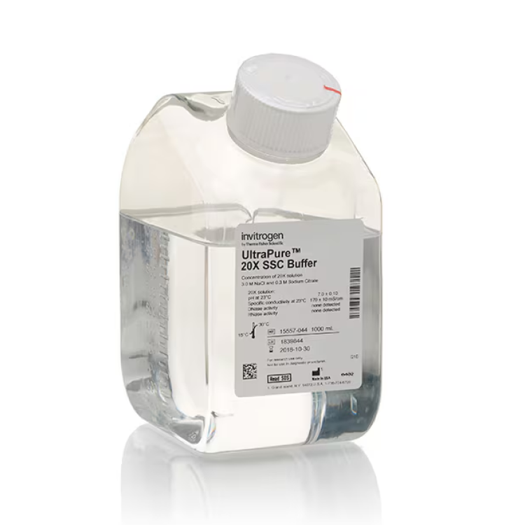 UltraPure™ SSC, 20X 1L : Saintone(주)