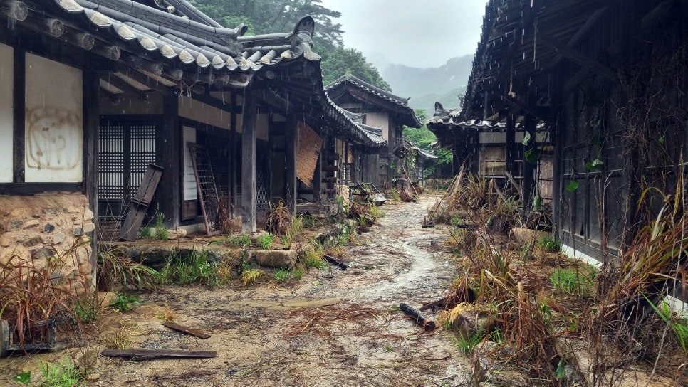 '전란' 조경 : 나무야 놀자