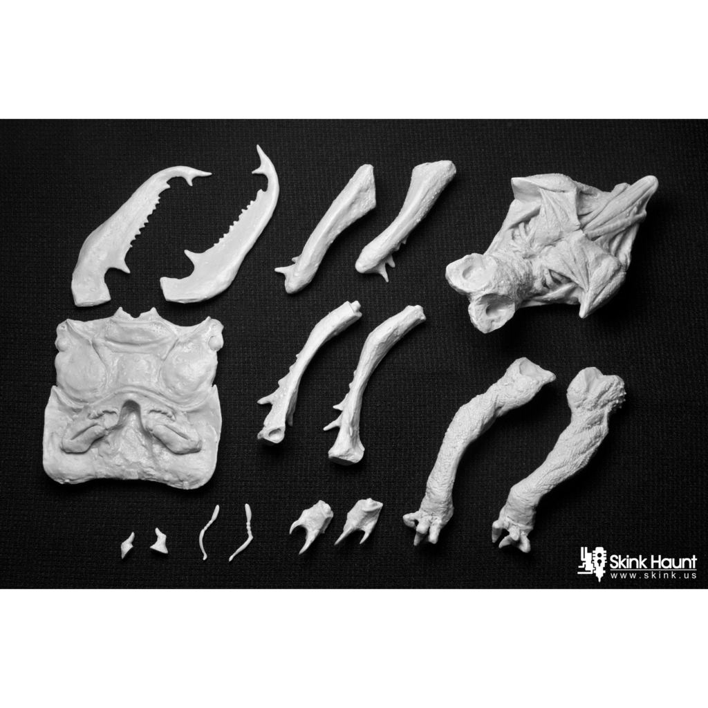 브라질 상파울루에 있는 @blackcrowtattoo 케르베루스 타투., image size:1024x1024