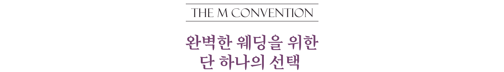 THE M CONVENTION 완벽한 웨딩으루이한 단 하나의 선택