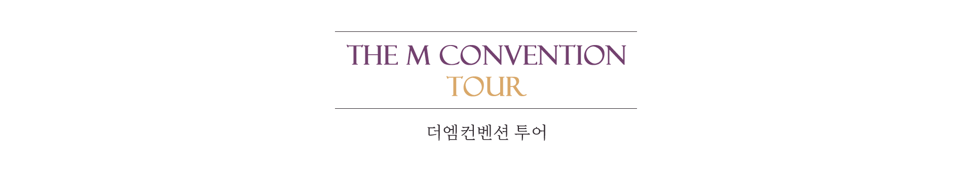 THE M CONVENTION TOUR 더엠컨벤션 투어