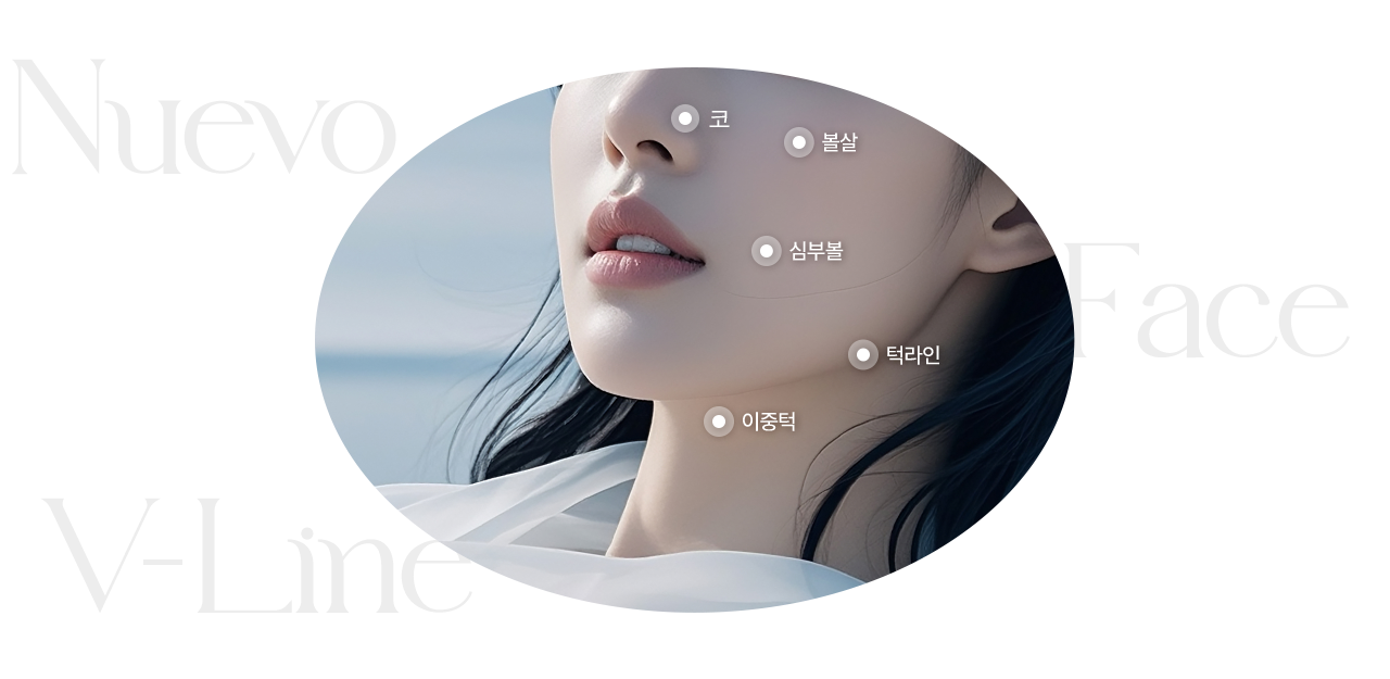 얼굴지방분해주사의 시술부위를 나타내는 이미지입니다.