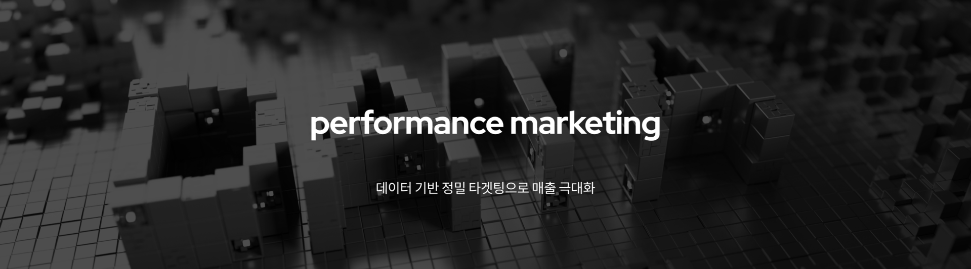 performance marketing 데이터 기반 정밀 타겟팅으로 매출 극대화