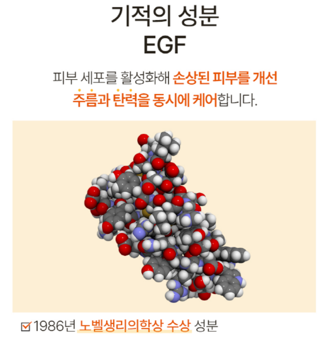 <p style="text-align:left; font-size:16px; margin-top:26px;">RAKU CLAY<br><span style="color:#666;">₩ 120,000</span></p>