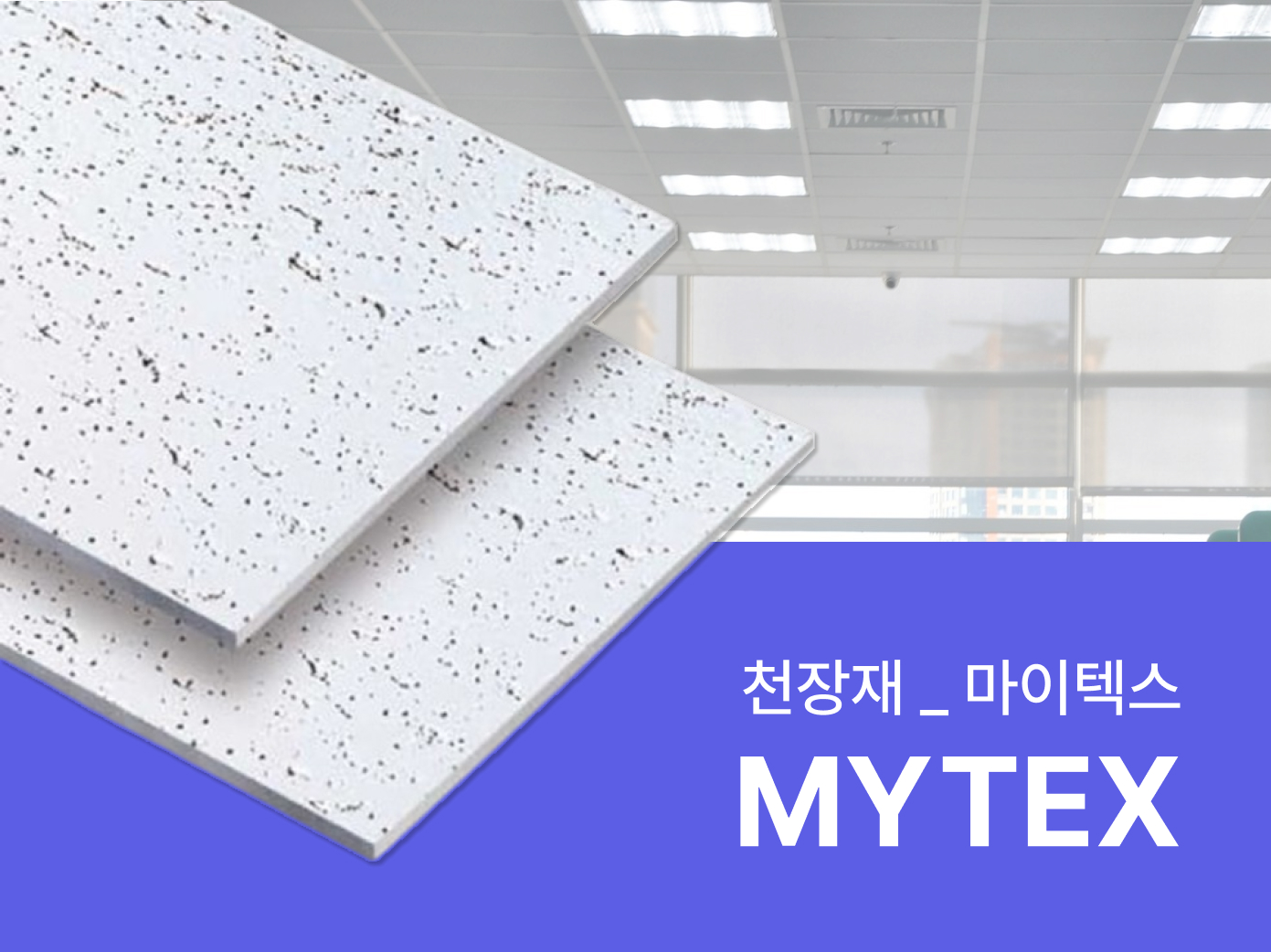 마이텍스썸네일