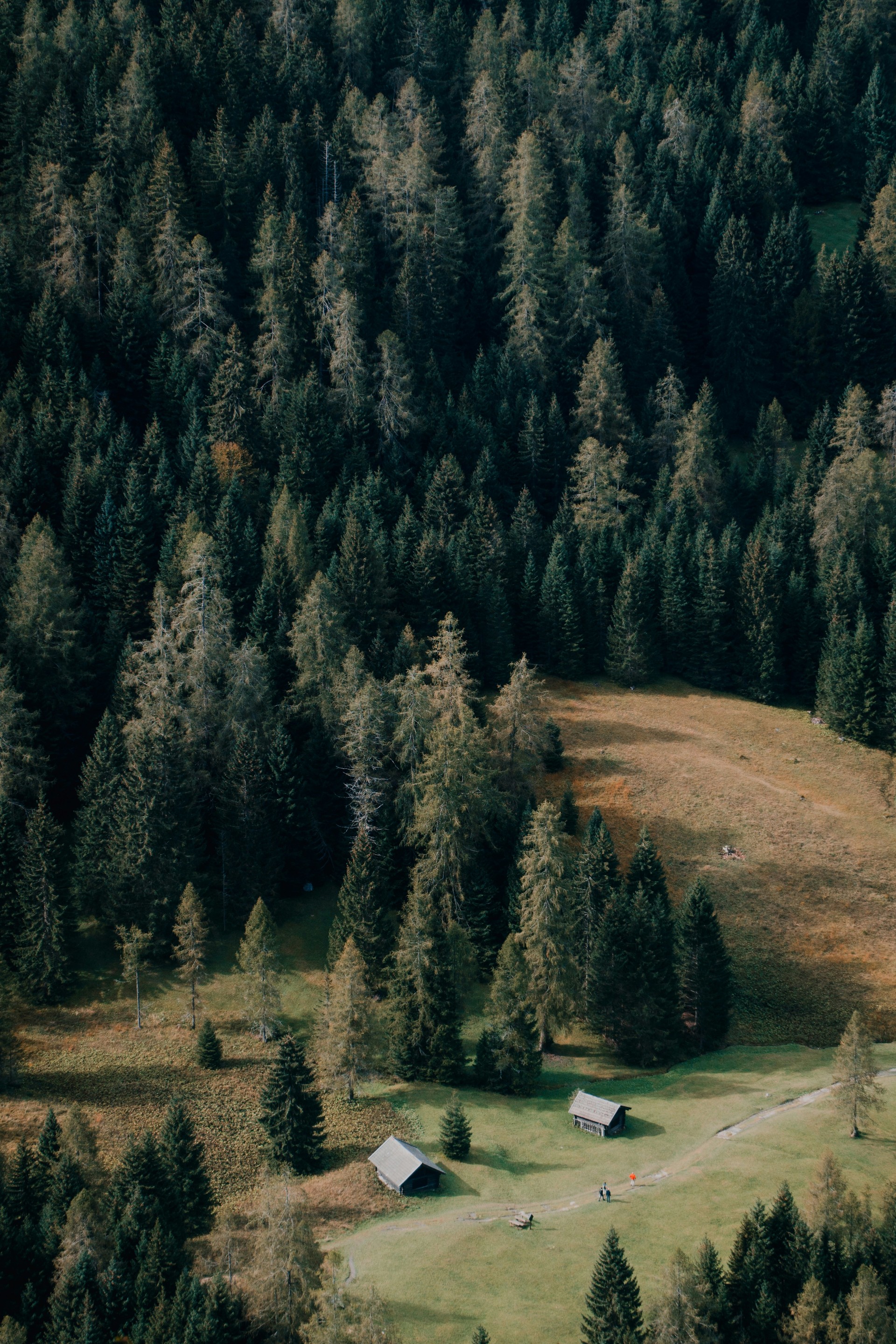 mobile background