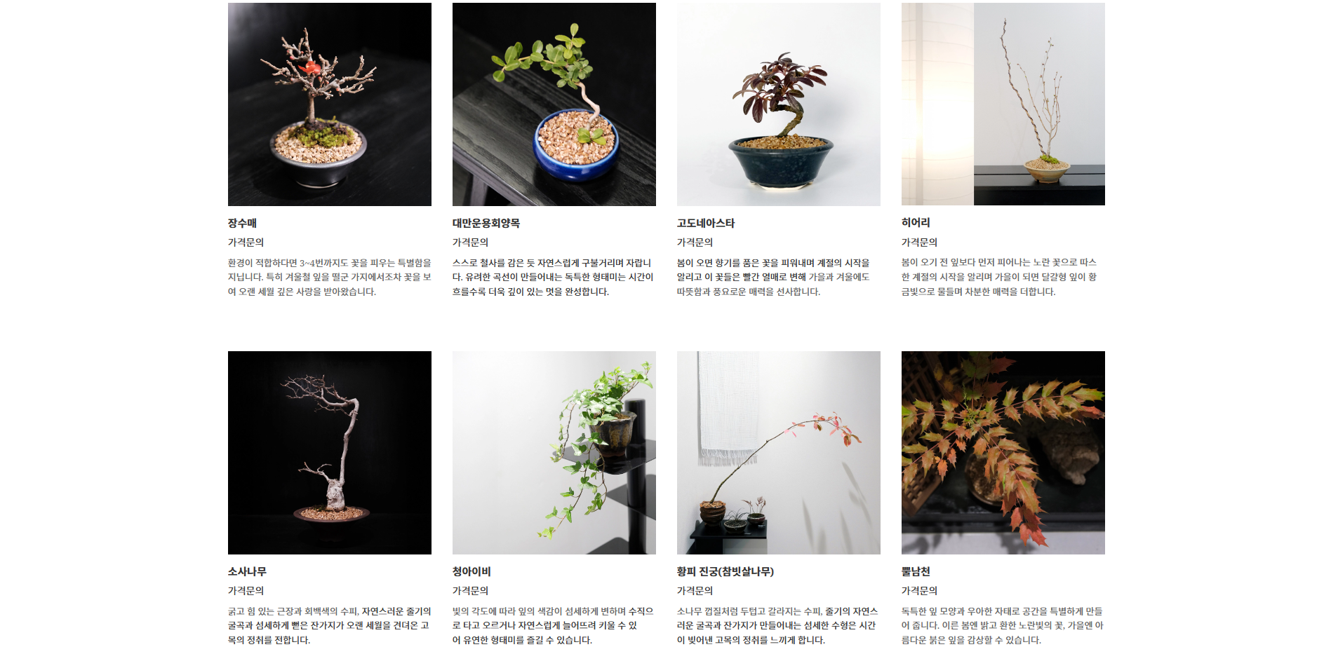 캠핑장 매력을 살린 전문 홈페이지를 제작합니다.