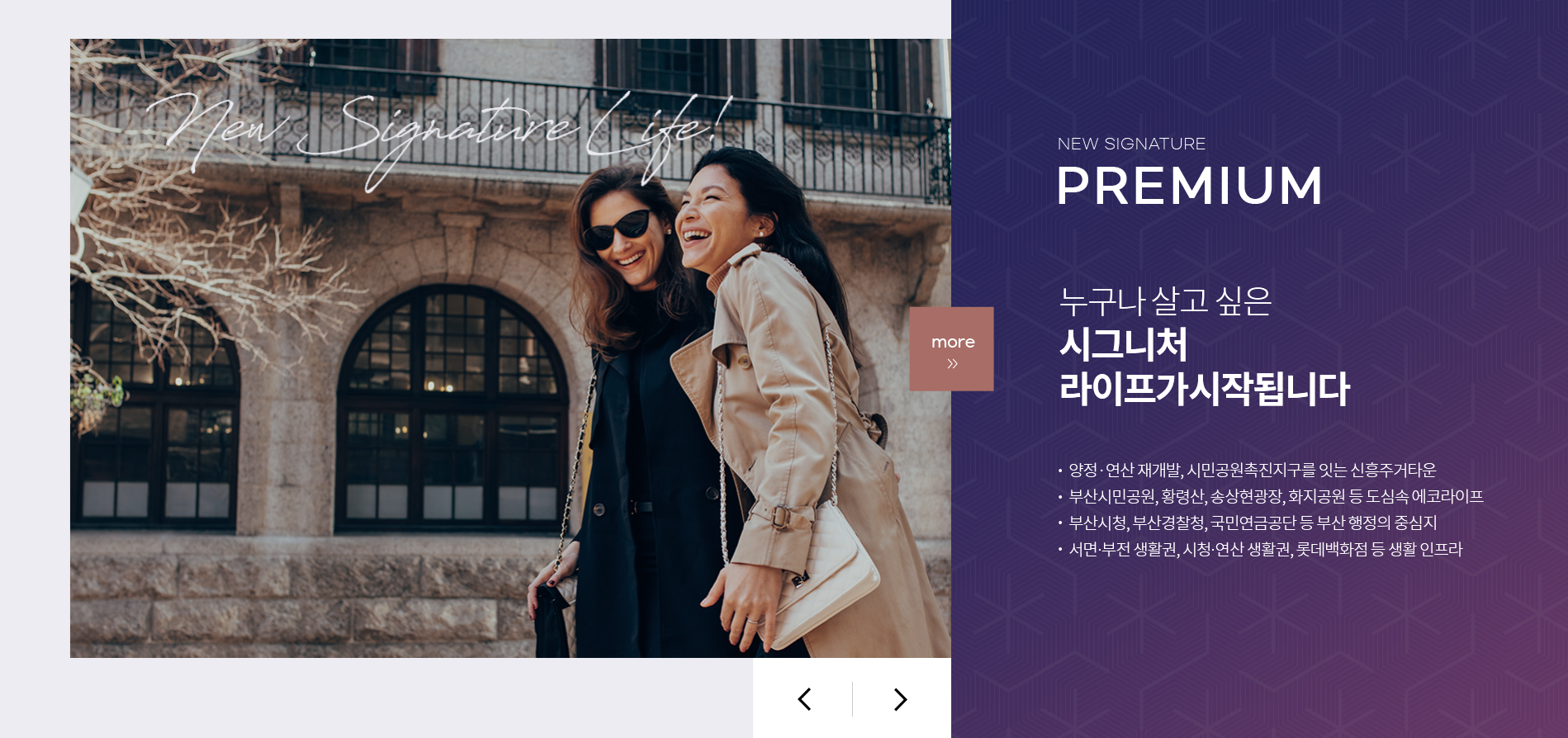 천안 지역 사업자 전용 맞춤형 홈페이지 제작을 지원합니다.