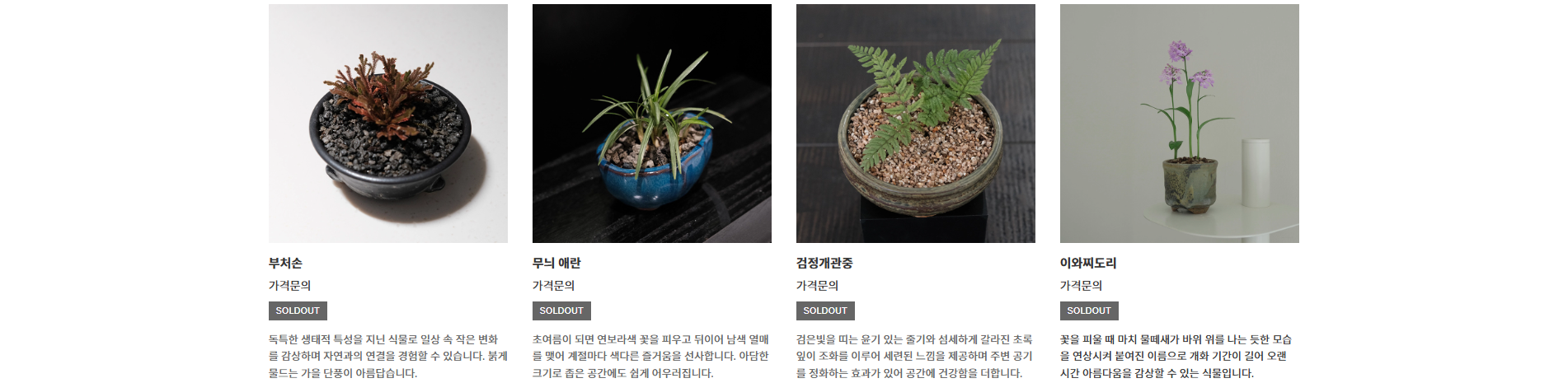 부산 지역 최고의 홈페이지 제작업체를 추천합니다.