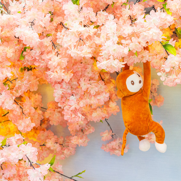 예약 상품 이미지