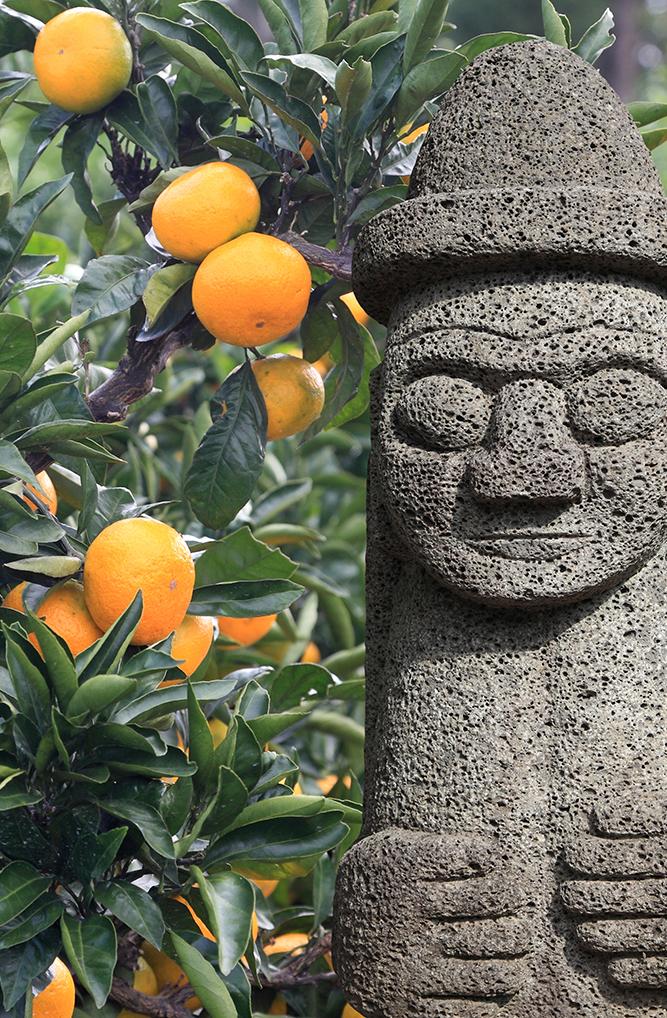 <p class= "tourstory-main-tit">JEJU</p>