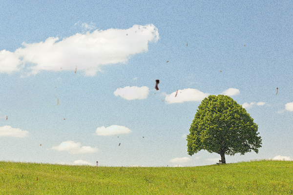 당뇨망막병증 환자의 시야