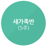 교회출석시작