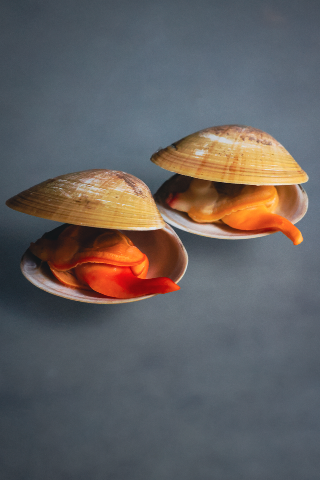 <p style="text-align:left; font-size:16px; margin-top:26px;">RAKU CLAY<br><span style="color:#666;">₩ 120,000</span></p>