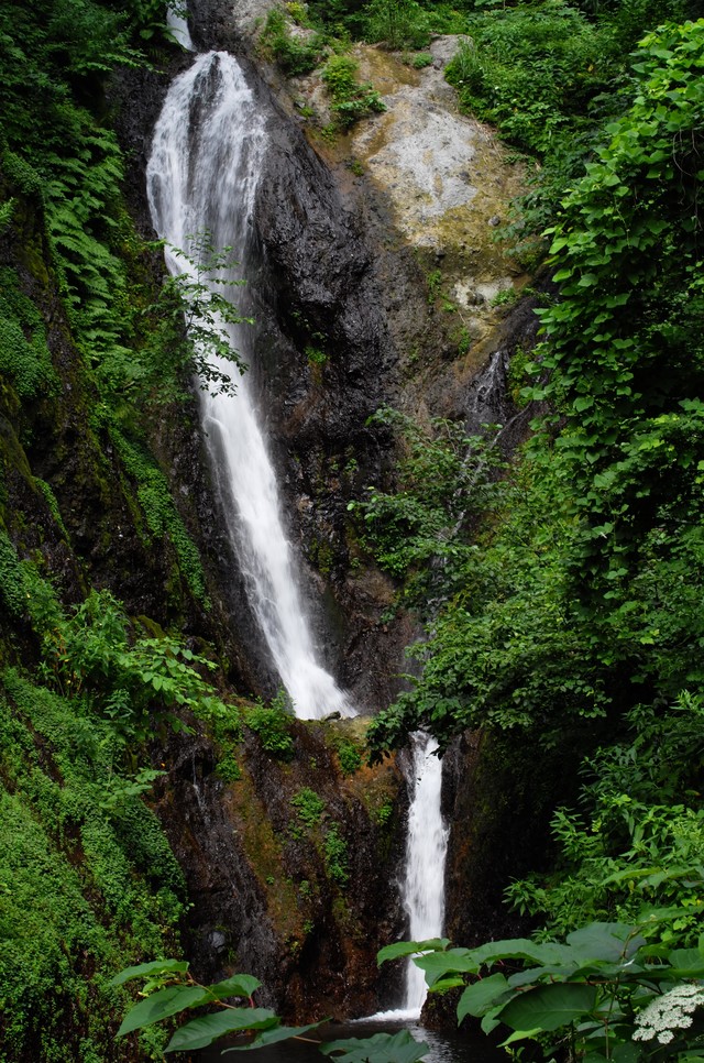 <p style="text-align:left; font-size:16px; margin-top:26px;">POCELAIN<br><span style="color:#666;">₩ 60,000</span></p>