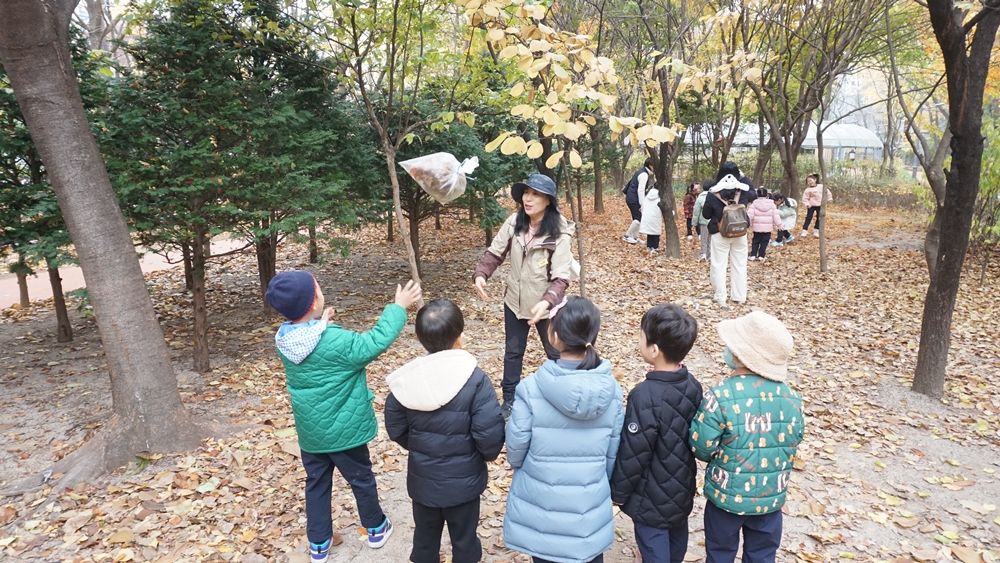 단체 프로그램