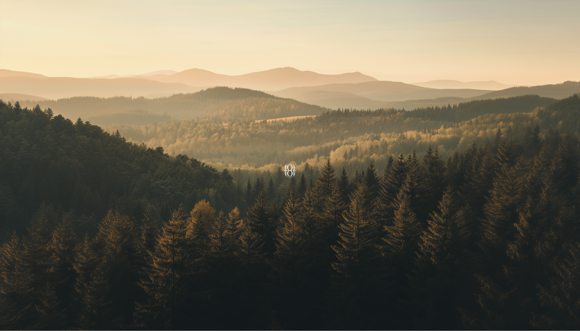 고요하고 깊은 산 속