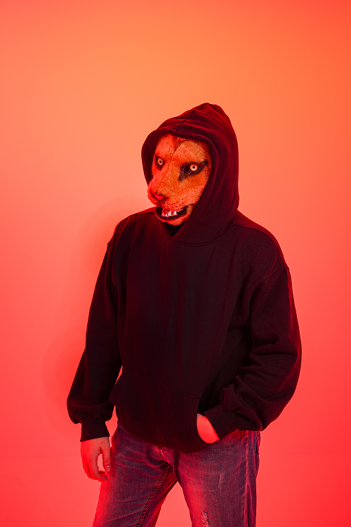 <div class="mrCarnival">