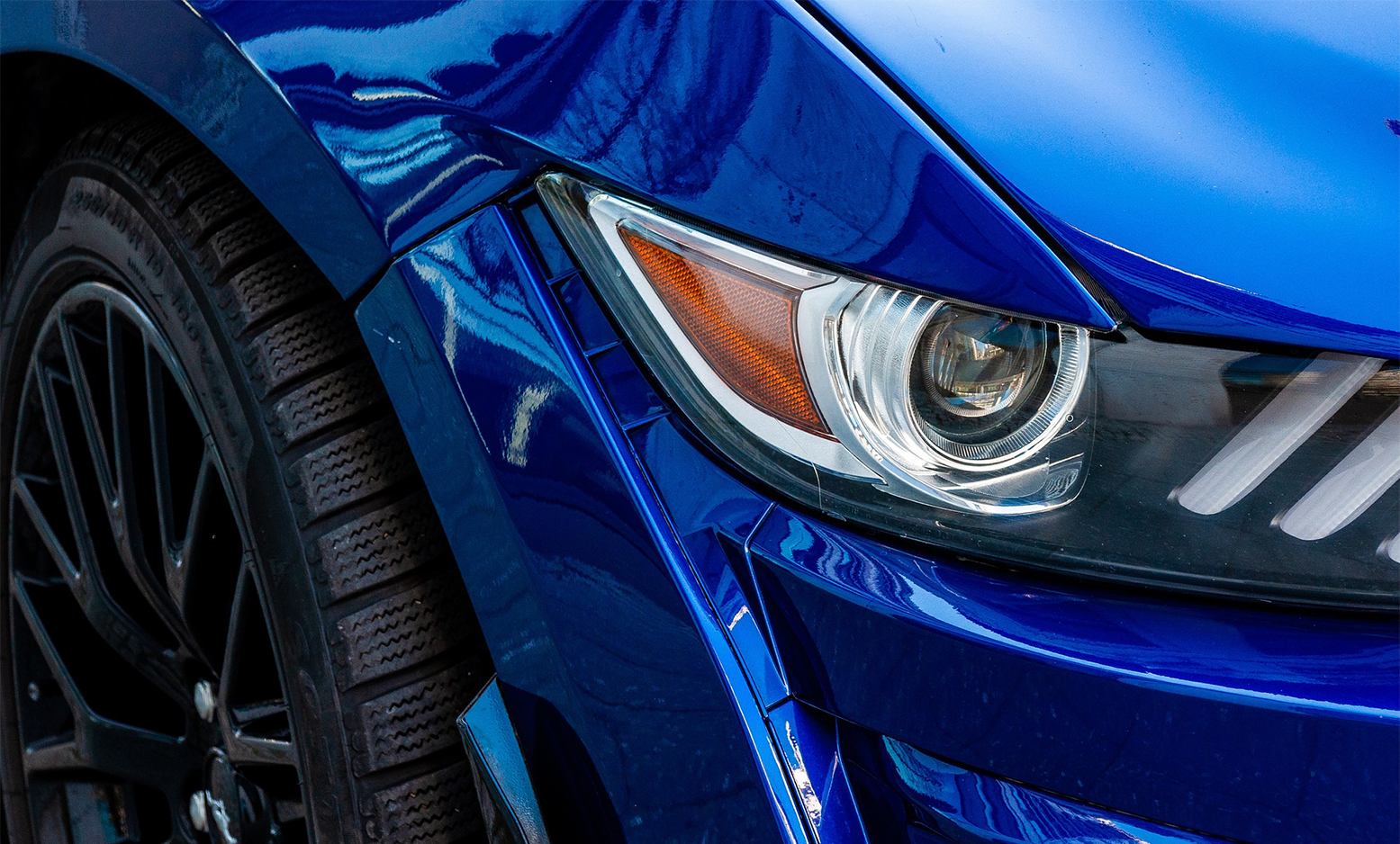 <p style="text-align: center;"><strong><span style="font-size: 36px; color: rgb(243, 243, 243);">WINDOW FILM</span></strong></p>