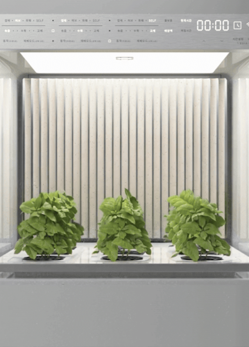  <p style="text-align: left; margin-top: 0;">   <span style="color: var(--Contents-Color-Gray-900, #231815);  font-size: 16px; font-style: normal; line-height: 1;">     Smartfarm   </span> </p>