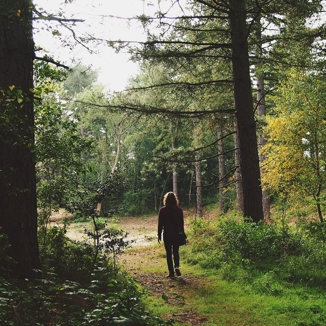 무기력증 줄이는 동기부여 창의력을 올리는 창조성 워크숍 자연 산책하는 모습