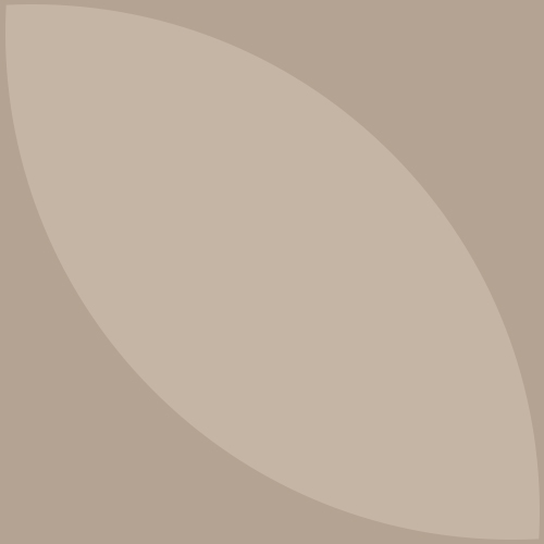 <p style="line-height: 1.3; letter-spacing: -0.6px; font-weight: 500;”><span style="font-size: 32px;">Airport to Clinic</span></p>