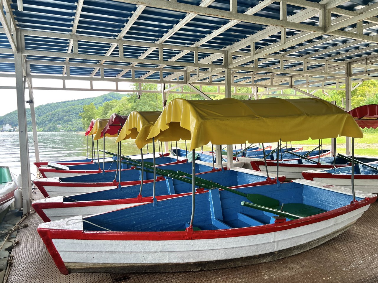<strong>Rowing boat</strong></h6>