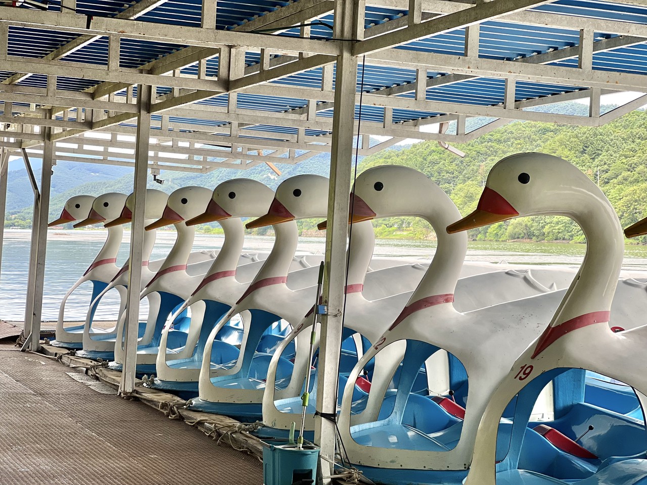 <strong>Duck pedal boat</strong></h6>