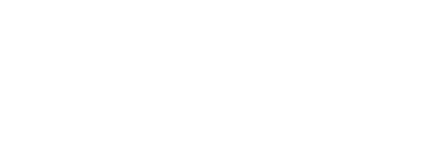 SEO Real