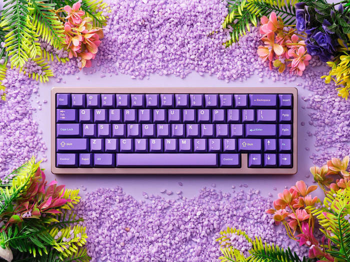 SINGAKBD Kohaku - ChampagneGold SMKX2025 Kohaku SINGAKBD - r