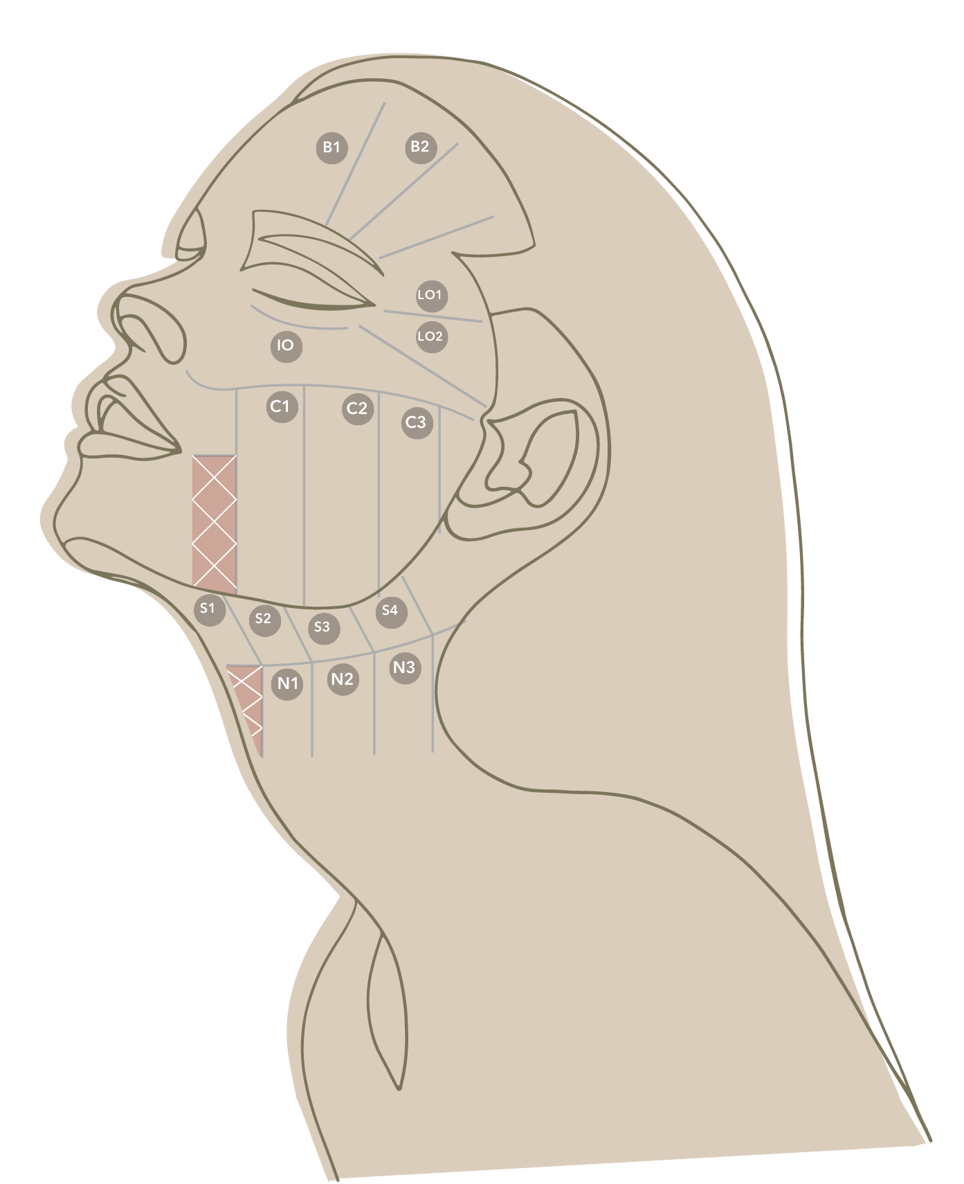 ウルセラのデザインカルテを活用した 1:1のスペシャルアンチエイジング