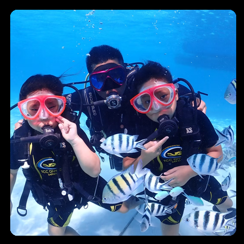 사이판다이빙월드 | 사이판 체험다이빙 사진