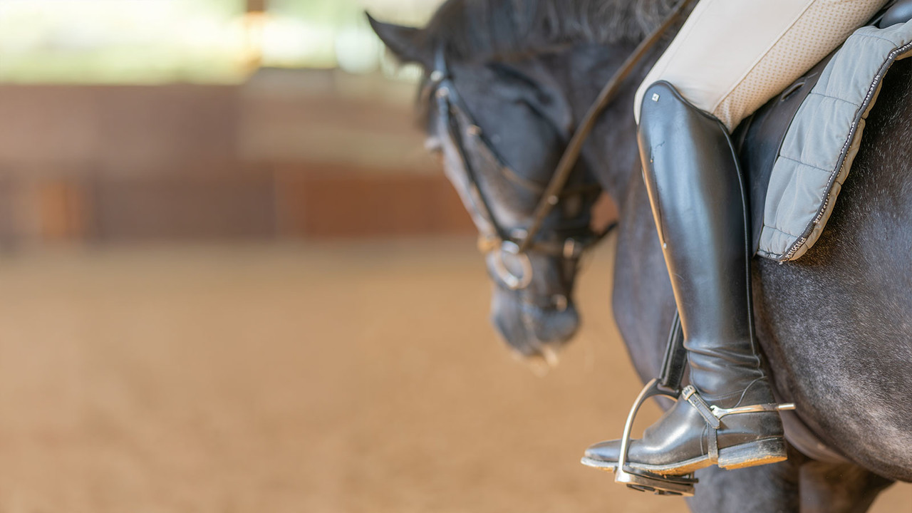 <h4><strong><span style="color: rgb(255, 255, 255);">프로그램 이용 안내</span></strong></h4><br><br>자세히 보기 ❯