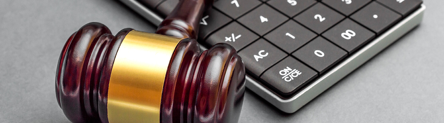 <strong>조세분야</strong>