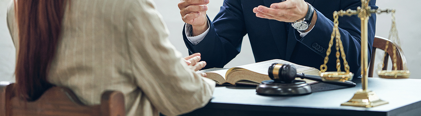 <strong>민사사건</strong>