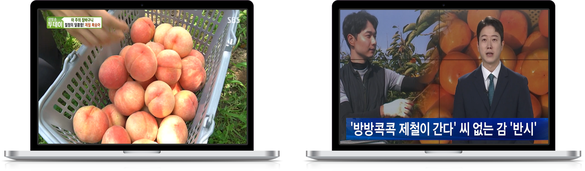 지상농원